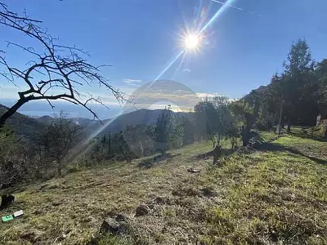 Gorbio 06500 Achat / Vente terrain