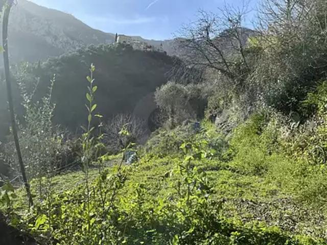 Gorbio 06500 Achat / Vente terrain