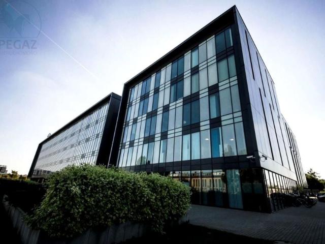 Górecka/Hetmańska 355 m², Poznań