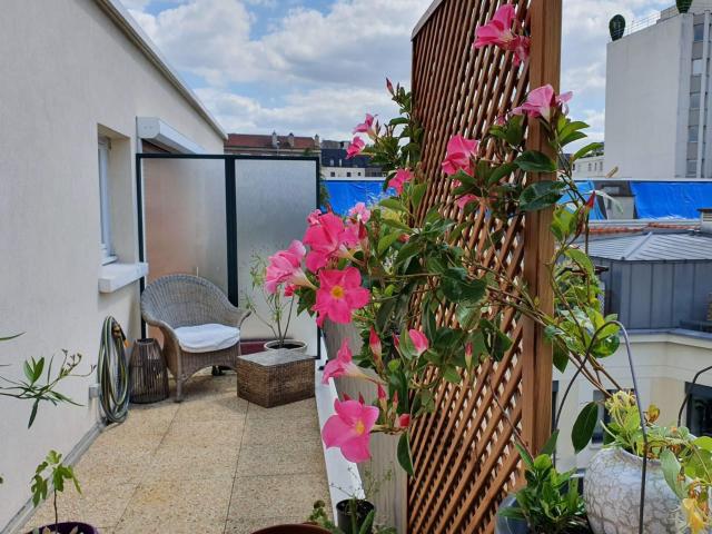 Gorgeous and quiet apartment in quiet court without rumor
