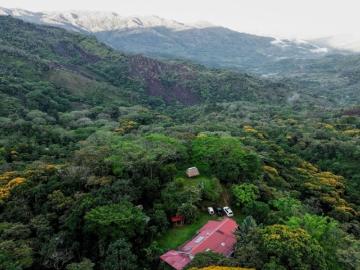 Gorgeous Off Grid Home and Coffee Farm