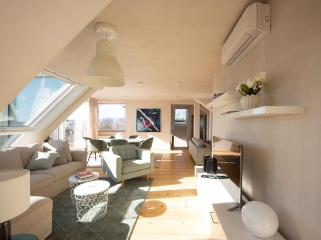 Gorgeous Penthouse with fantastic view to Schloss Schönbrunn