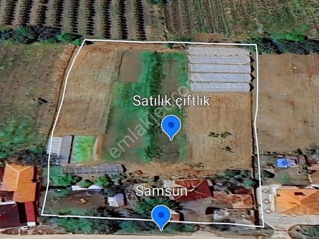 Görgülü Emlaktan Satılık Çiftlik 8801 M²