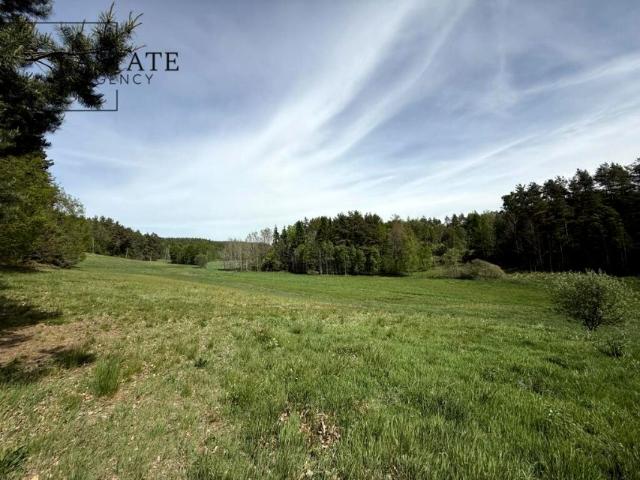 Górna 3 513 m², Rąb