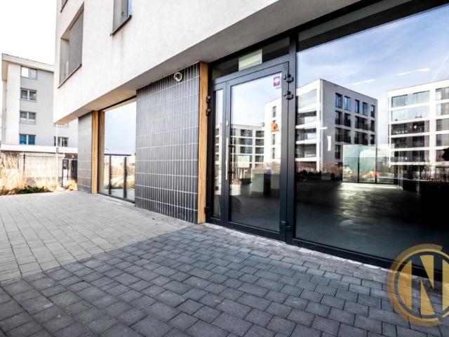 Goszczyńskiego 120 m², Kraków