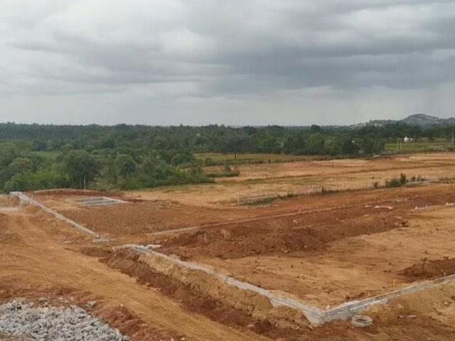 Gosainganj, Lucknow South 5974 Sq.Ft. Plot in Gosainganj Lucknow Listing ID: #10149