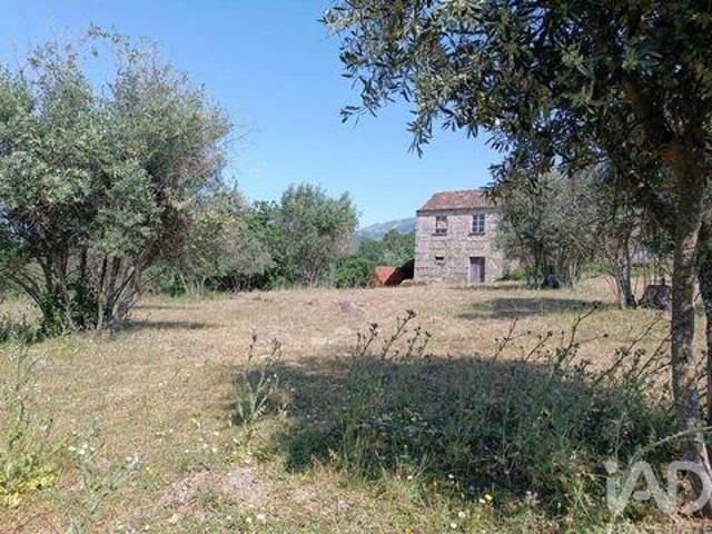 Gouveia Guarda 96332099