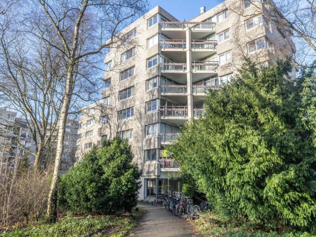 Gouden Leeuw 1026, 1103KZ, Amsterdam, Noord Holland 1103KZ