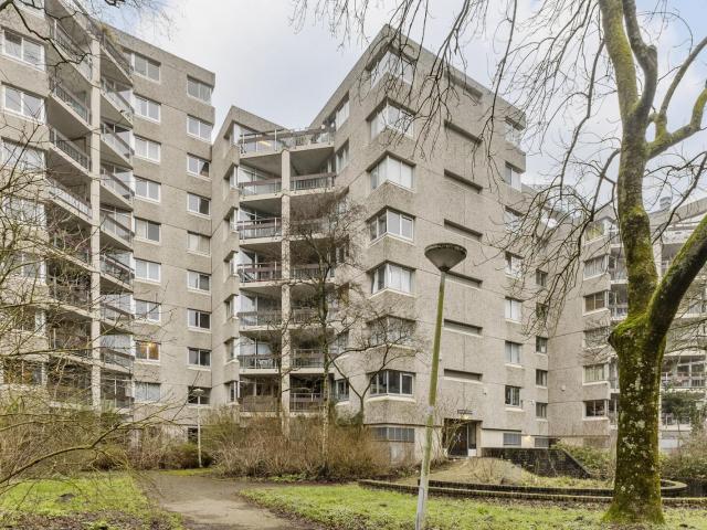 Gouden Leeuw 433, 1103KK, Amsterdam, Noord Holland 1103KK