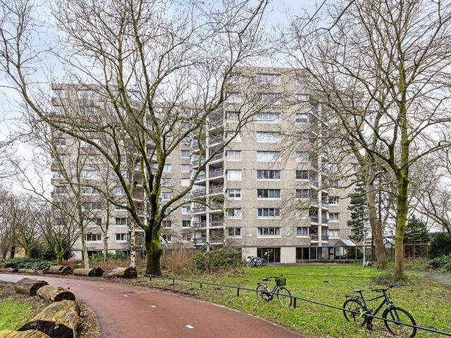Gouden Leeuw 738, 1103KR, Amsterdam, Noord Holland 1103KR