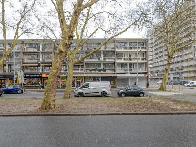 Goudestein, 18, 3085DB, Rotterdam, Zuid Holland 3085DB