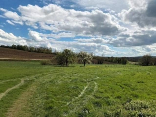 Gournay en Bray Vente Terrain 76