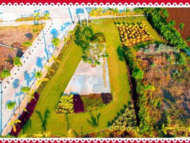 Gowribidanuru 1500 Sq.Ft. Plot in Channarayapatna Bangalore Listing ID: #9947