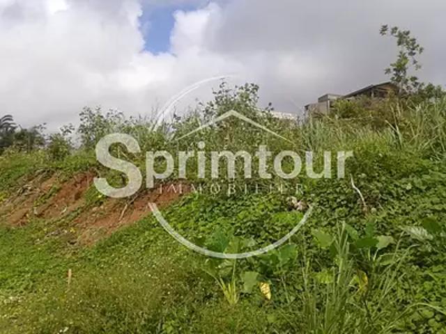 Goyave 97128 Achat / Vente terrain