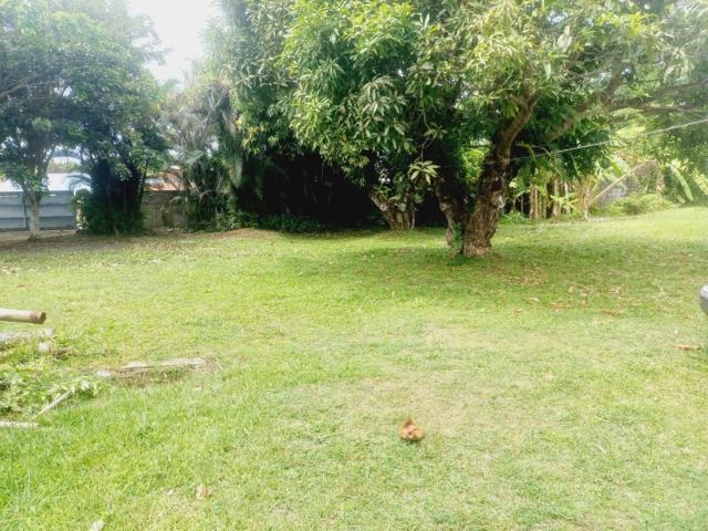 Goyave Vente Maison 97