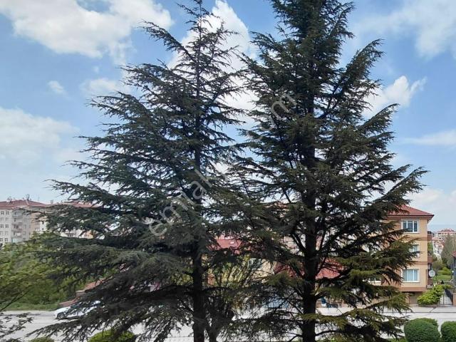 Göztepe Mh.dumlupınar Cd.yakın Ebeveyn Banyolu Satılık 2+1 Daire