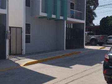 Gladiola, Monte Alto, 89606 Miramar, Tamps