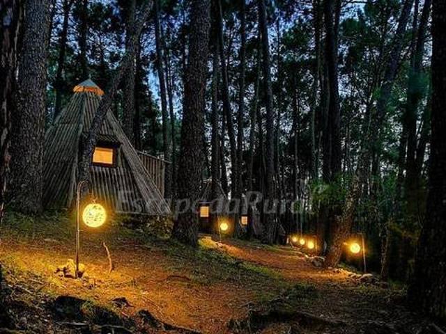 Glamping The Teepee