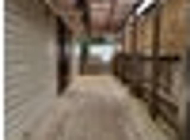 Glen Eden, 3 bedrooms, $620 pw