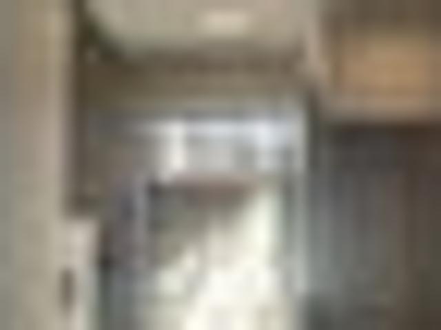 Glen Eden, 3 bedrooms, $750 pw