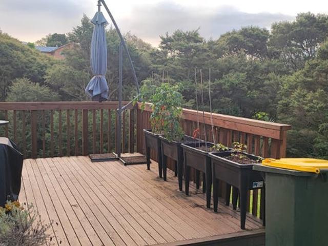 glen eden, 1 bedroom