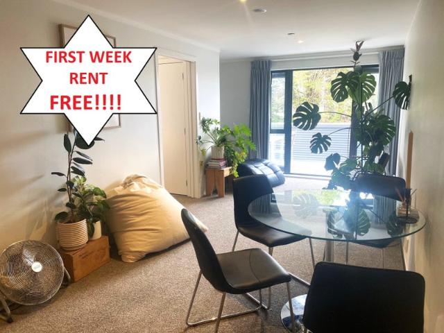 Glen Eden, 1 bedroom