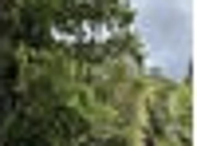 Glen Eden, 2 bedrooms, $600 pw