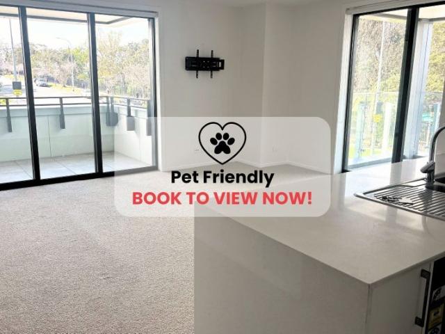 glen eden, 2 bedrooms