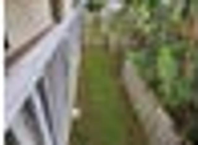 Glen Eden, 4 bedrooms, $725 pw