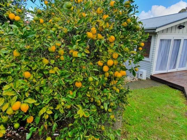 Glenfield, 5 bedrooms