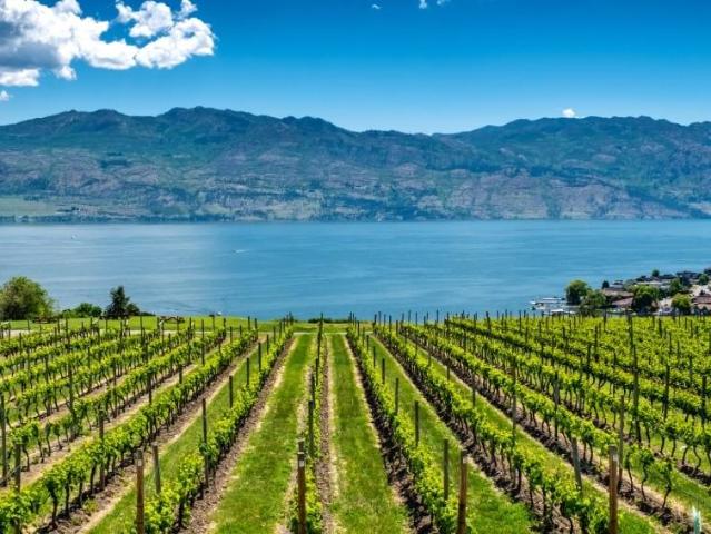 Glenmore Central 2 Bedroom Apartment for Rent at 724 Valley Rd, Kelowna, BC V1V 0C2 North Glenmore