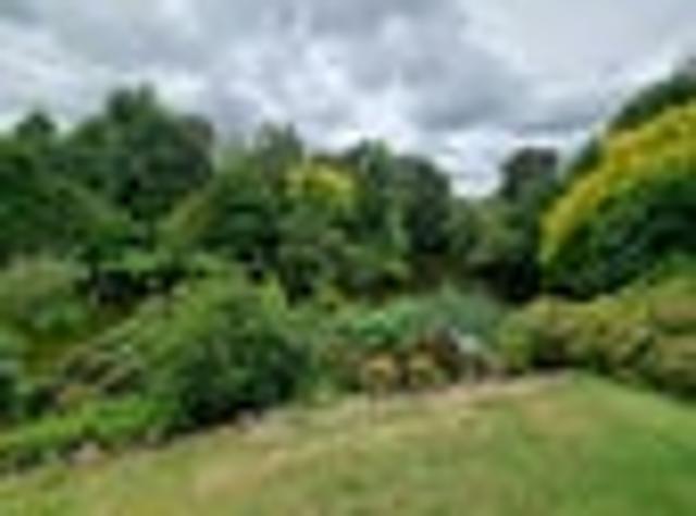 Glenview, 4 bedrooms, $740 pw