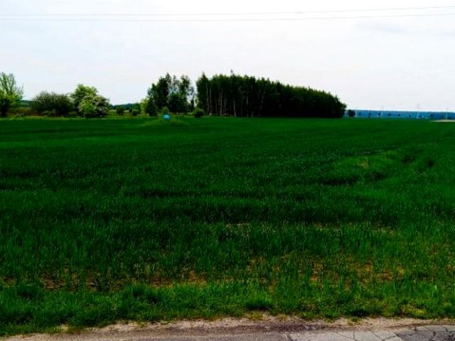 Gliniana 5 025 m², Rzgów