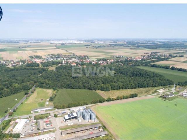 Gniechowice 21 226 m², Gniechowice