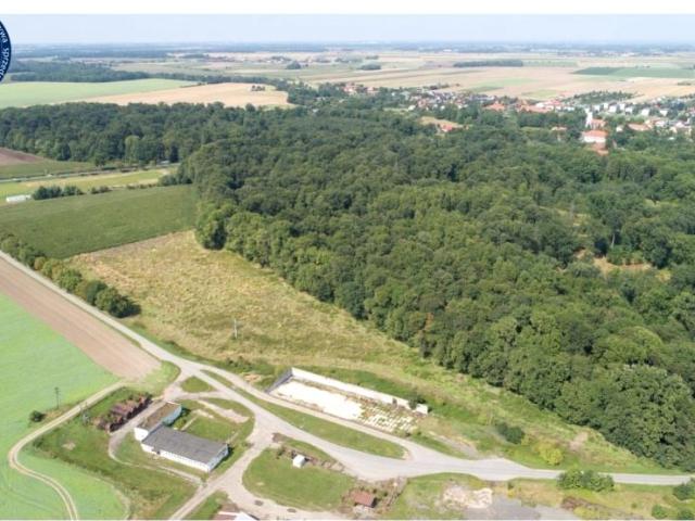 Gniechowice 31 589 m², Gniechowice