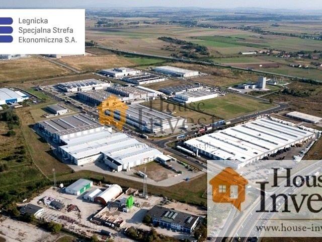 Gniewomierska 37 524 m², Legnica