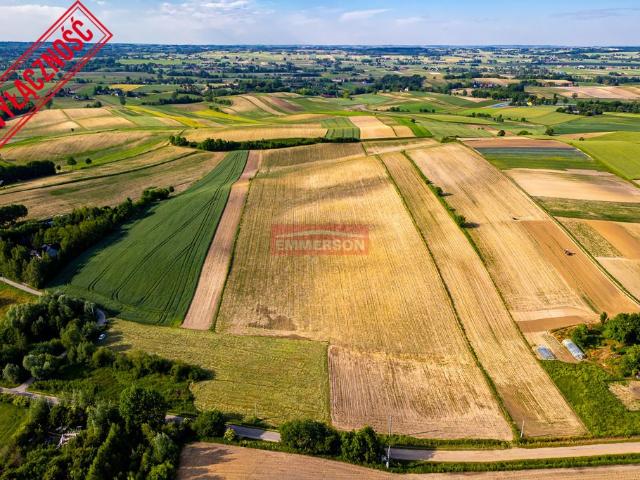 Działka rolna 53 000 m² z bezpośrednim dojazdem