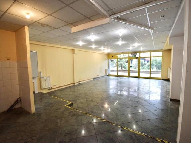 Grota Roweckiego 85 m², Opole