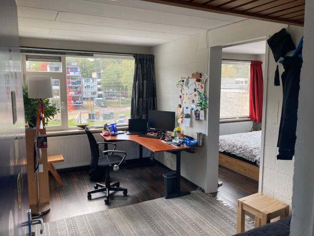 Grote kamer in gezellig studentenhuis