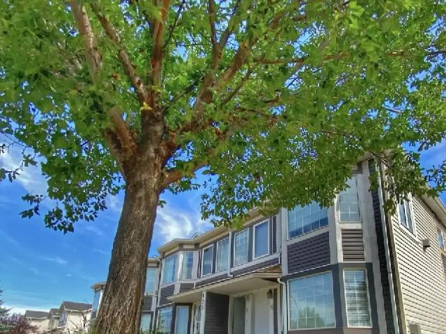 Ground floor unit, 2 Bedroom, pet friendly, A/C, All 8 appliances