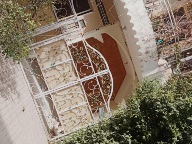 Ground Portion For Rent Islamabad G 11/2 ID 87273