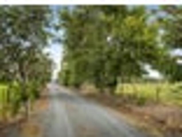 Unbeatable Lifestyle, Sheds and Land