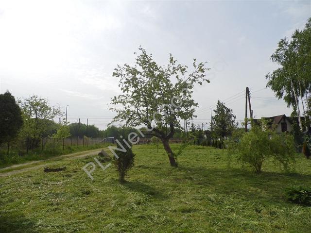 Grodzisk Mazowiecki, 1 742 m2