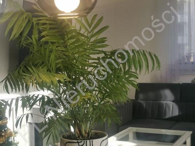 Grodzisk Mazowiecki, 52,20 m2