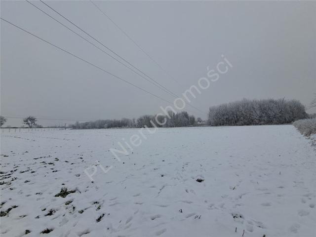Grodziski, Chlebnia