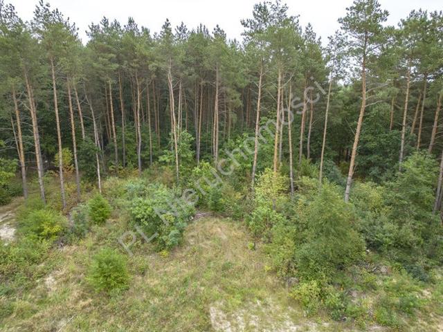Grodziski, Adamowizna