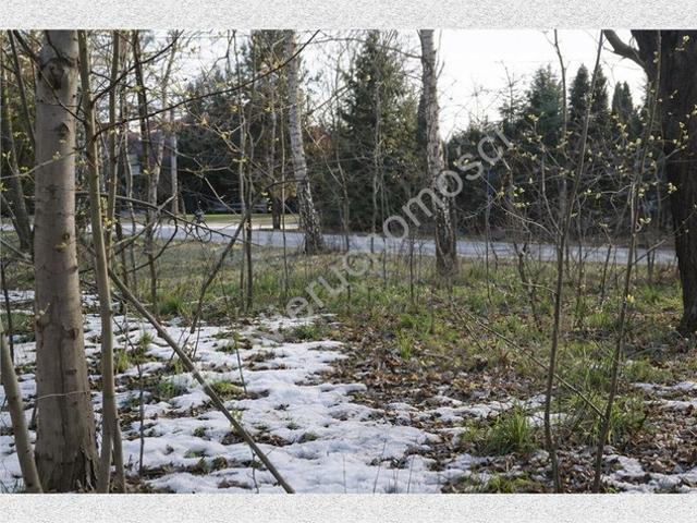 Grodziski, Adamowizna