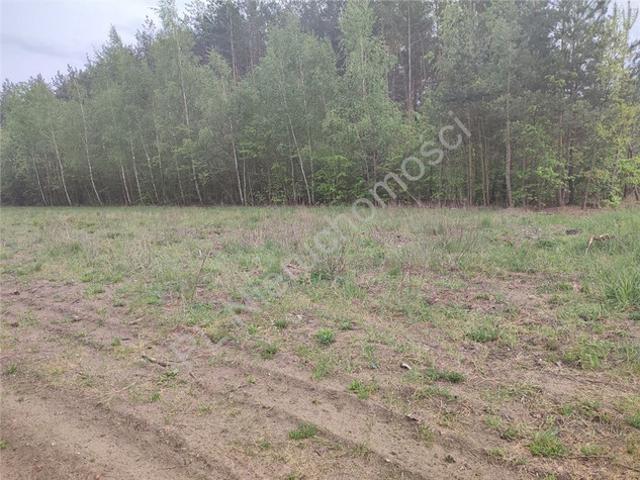 Grodziski, Adamowizna