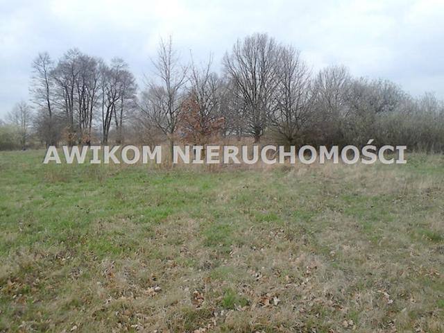 Grodziski, Grodzisk Mazowiecki