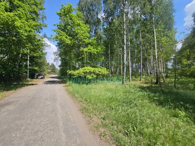 Grodziski, Grodzisk Mazowiecki